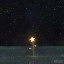 عکس کاربر - 💛🐣🌠آسمان ستاره🌠🐣💛