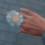 عکس کاربر - نازی