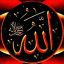 عکس کاربر - امیر محمّد رحیمی
