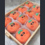 عکس کاربر - 🍓کانالـ روشا🍓