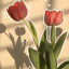 عکس کاربر - Sima