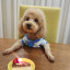 عکس کاربر - ♡♥︎𝐒𝐞𝐫𝐞𝐧𝐚♥︎♡