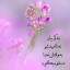 عکس کاربر - علی‌صابری