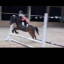 عکس کاربر - terme🐎