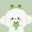 عکس کاربر - 💚💚popy💚💚
