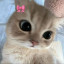 عکس کاربر - 🥰🌷{£$√~°£$√🌷🥰