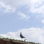 عکس کاربر - ی نفر خیلی قوی