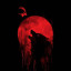 عکس کاربر - anonymous