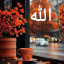 عکس کاربر - amirreza.mamedi