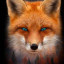 عکس کاربر - fox