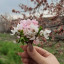 عکس کاربر - رویا