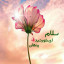 عکس کاربر - ۰۰۰۰236