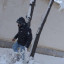 عکس کاربر - alisolimani913