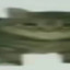 عکس کاربر - oii cat