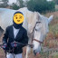 عکس کاربر - 🏇سوارکار🏇