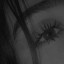 عکس کاربر - آندیا 
