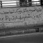 عکس کاربر - SELIN🥀
