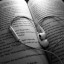 عکس کاربر - D.R_bestin