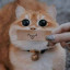 عکس کاربر - miuo miuo✨️🎀