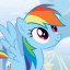 عکس کاربر - 🦄 Rainbow dash 🌈