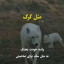 عکس کاربر - ۸۸۴۵۴۴