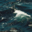عکس کاربر - ورژن دریا˖°𓇼🌊⋆🐚𓇼