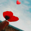 عکس کاربر - ...