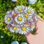 عکس کاربر - 刀乇丂ﾑ