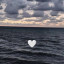 عکس کاربر - negin
