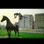 عکس کاربر - ali.pk____honor