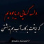 عکس کاربر - یاسر