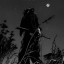 عکس کاربر - BLACK_KING