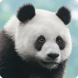 دانلود Animal Sounds