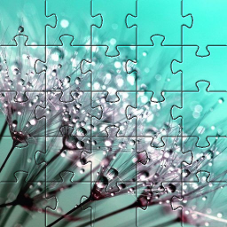 دانلود Nature jigsaw puzzles games