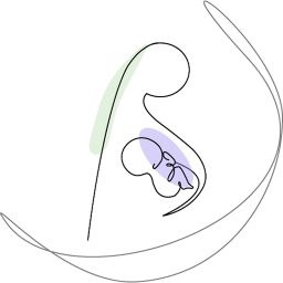 دانلود ‏‏‏‏‏رویانا دستیار هوشمند بارداری و سلامت