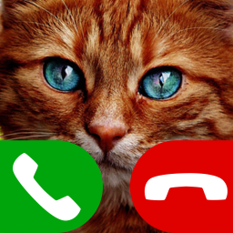 دانلود fake call cat game