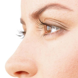 دانلود Photo Plastic Surgery Pro