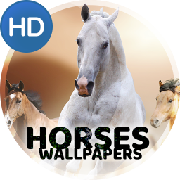 دانلود Wallpapers 4K with horses