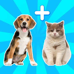 دانلود AI Mix Real Animal
