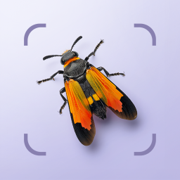 دانلود Bug ID - Insect Identifier