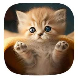 دانلود ‏تصویر زمینه گربه | والپیپر HD