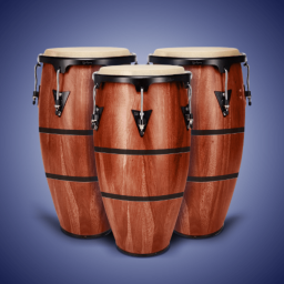 دانلود Real Percussion: سازها