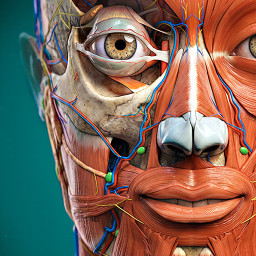 دانلود Anatomy Learning - 3D Anatomy