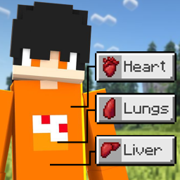 دانلود Chest Cavity Mod for Minecraft