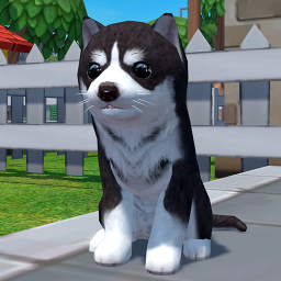 دانلود Dog Simulator 3D - Animal Life