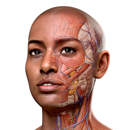 دانلود Complete Anatomy - Learn in 3D