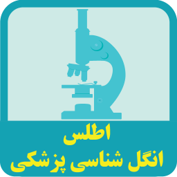 دانلود اطلس انگل شناسی پزشکی