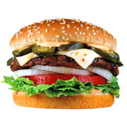 دانلود دستور تهیه انواع ساندویچ
