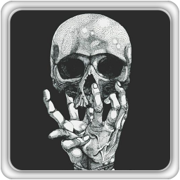 دانلود تم اسکلت