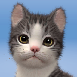 دانلود Kitten: Cat Game Simulator